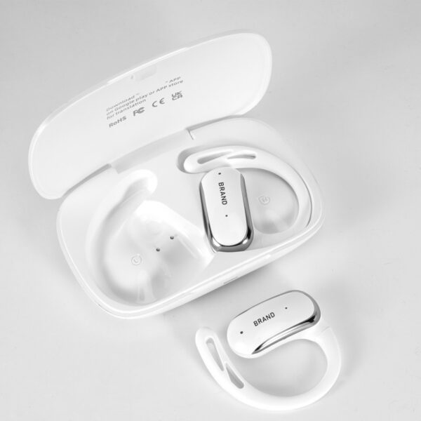 AI Interpreter Earbuds