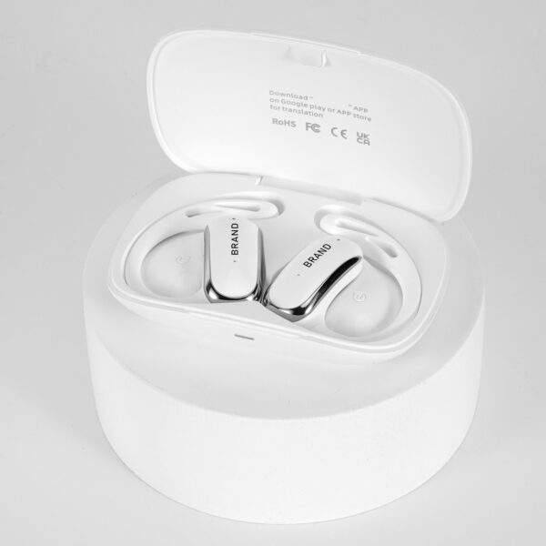 AI Interpreter Earbuds